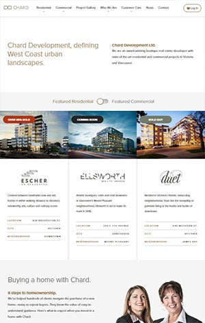 how to choose website background color business service
