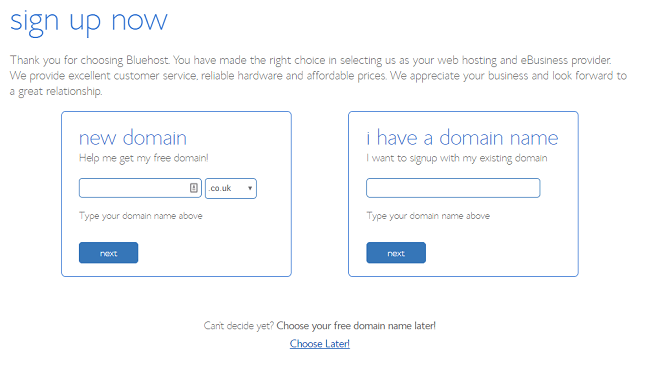 BlueHost WordPress Installation Domain Name Choice