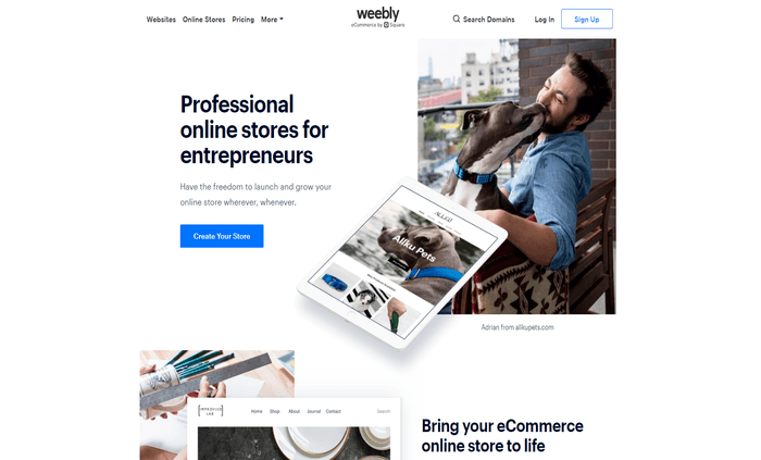 Weebly review