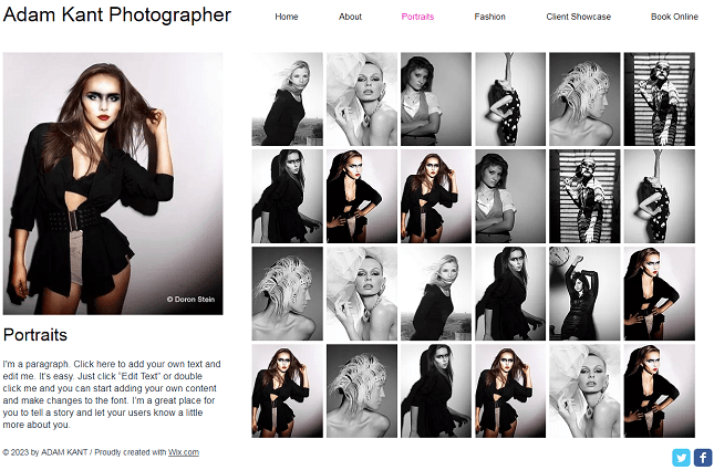 Wix artists photographer template
