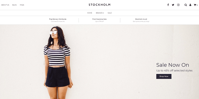 Shopify Themes