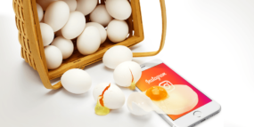 Putting All Your Eggs in One Social Media Basket