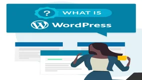 what is wordpress