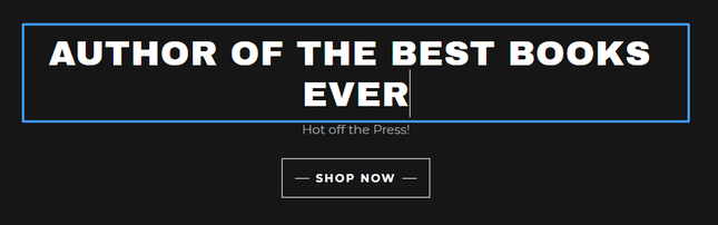 godaddy edited text