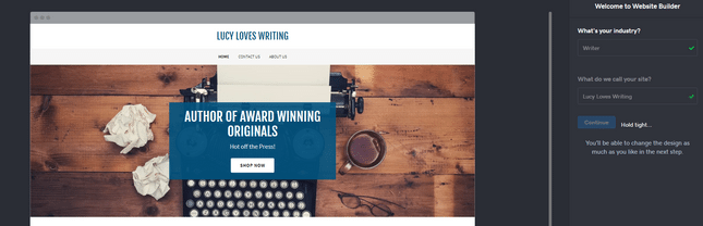 godaddy website setup industry and title