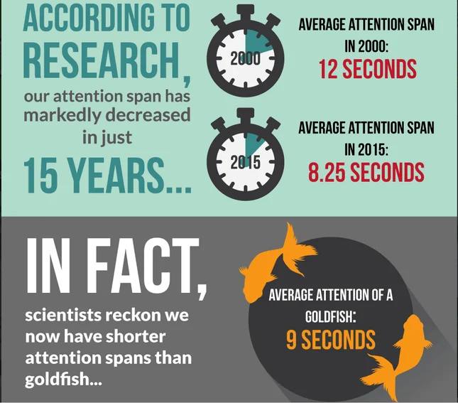 digital information research infographic