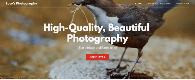 godaddy photography builder example