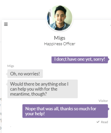 strikingly portfolio builder live chat