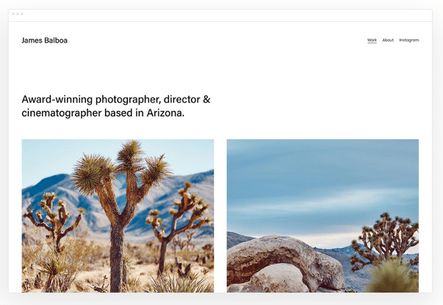 squarespace best for artists example