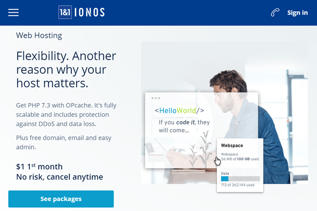 ionos pricing