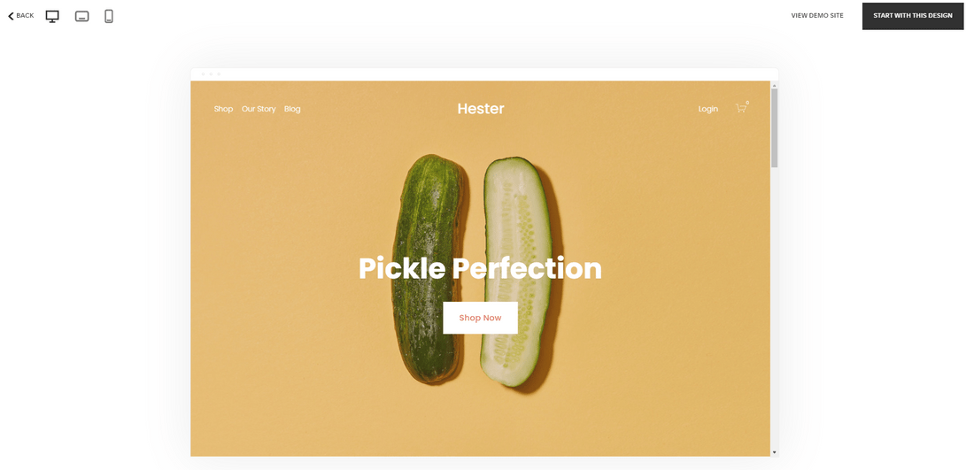 how to choose best squarespace template hester demo