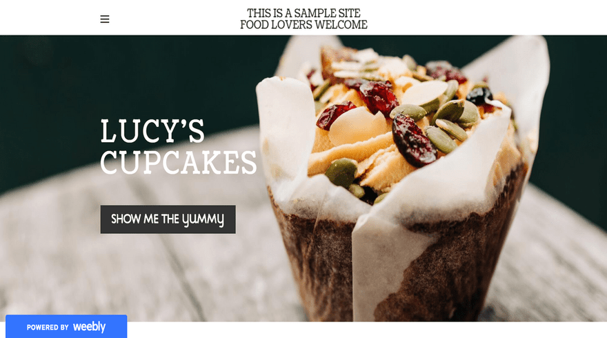 weebly free demo website