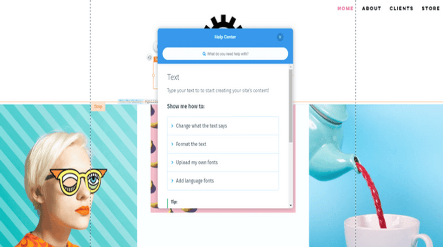 wix in-editor support