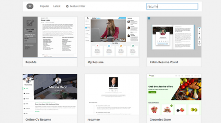wordpress.org resume themes