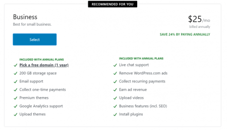 wordpress.com business plan