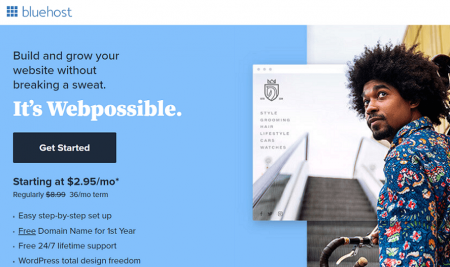 bluehost best small business host