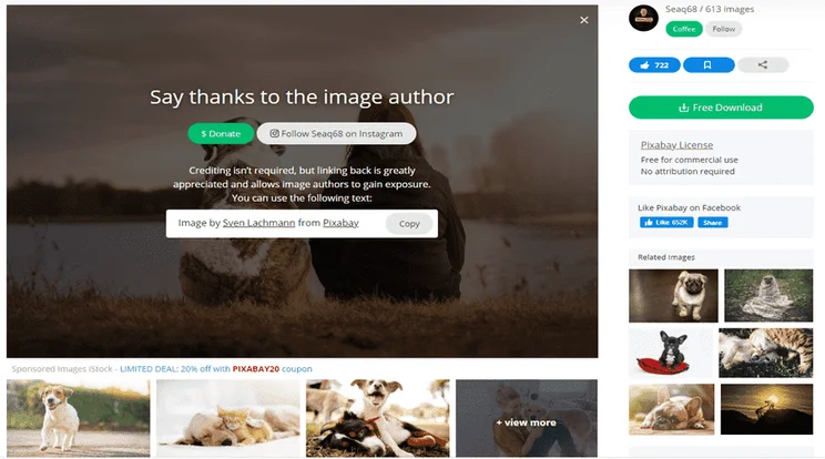 photos for websites pixabay free download