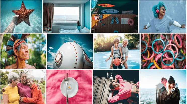 adobe stock image search