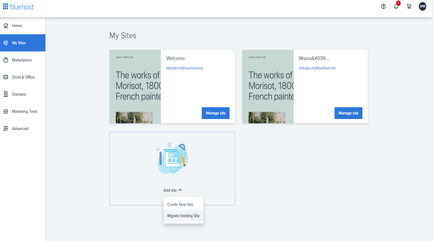 Bluehost Setup