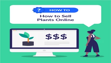 How to sell plants online
