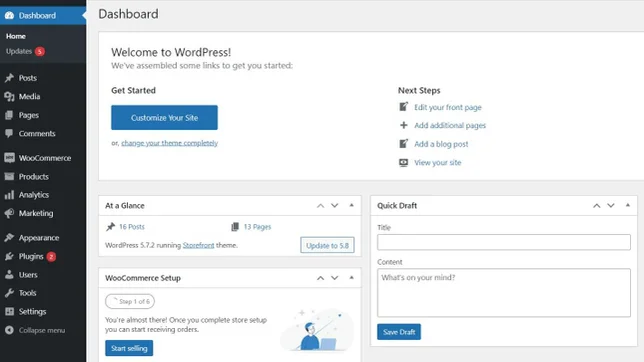 WordPress is a great example of a CMS.