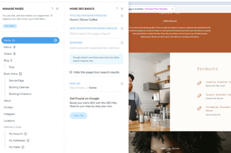 Wix ADI Edit SEO Basics