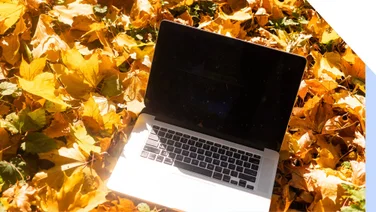 Screenshot of a laptop in a pile of fall leaves