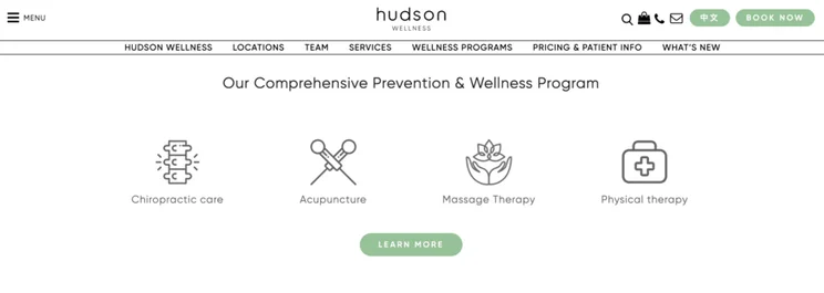 Hudson Medical icons