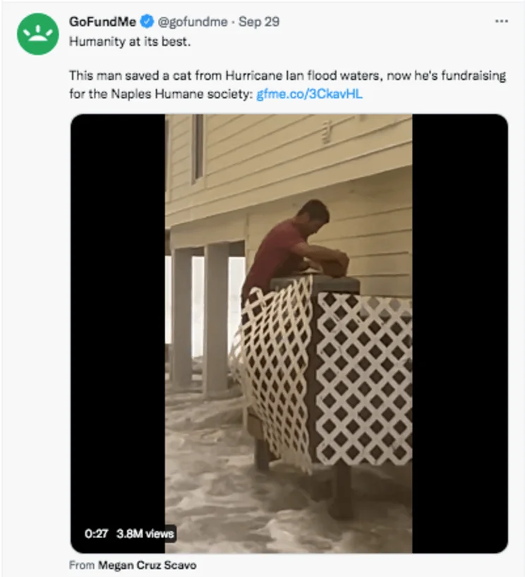 GoFundMe social media marketing example video of man saving a cat from a hurricane flood