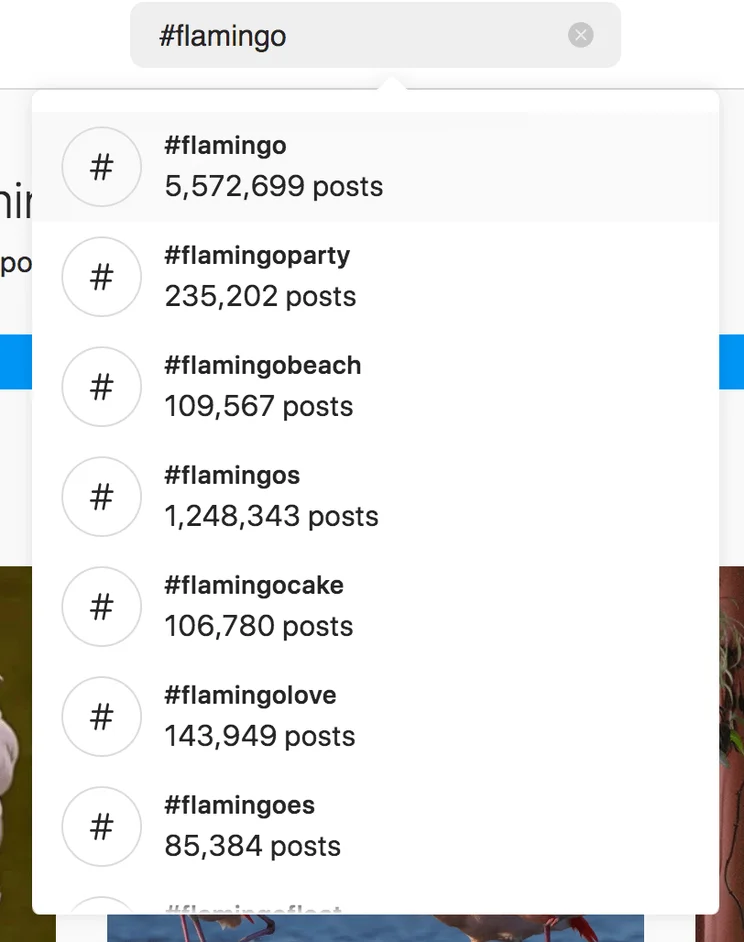 Instagram hashtag list for #flamingo search
