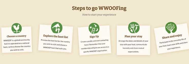 Five Wwoofing steps are shown on white cards against a beige background