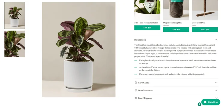 Product page fo a plant for sale on The Sill's website