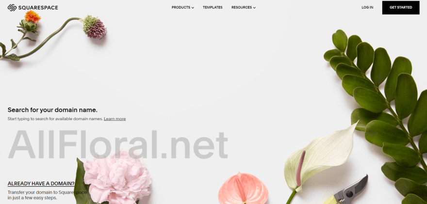 Squarespace domain search