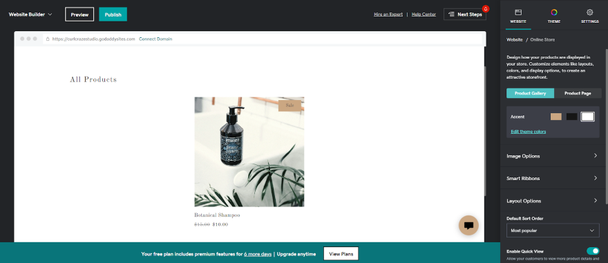 Screenshot of a shampoo product on a GoDaddy shop page via the editor.