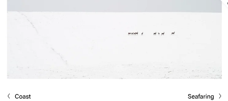 Screenshot of a large photograph features on a Squarespace portfolio page