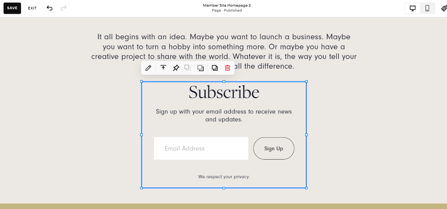 Example of a Squarespace editor interface showing a subscribe block design ready for customization.