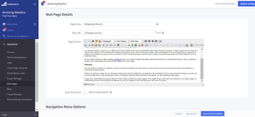 Screenshot of the BigCommerce backend where you can edit the Shipping and Returns policy text