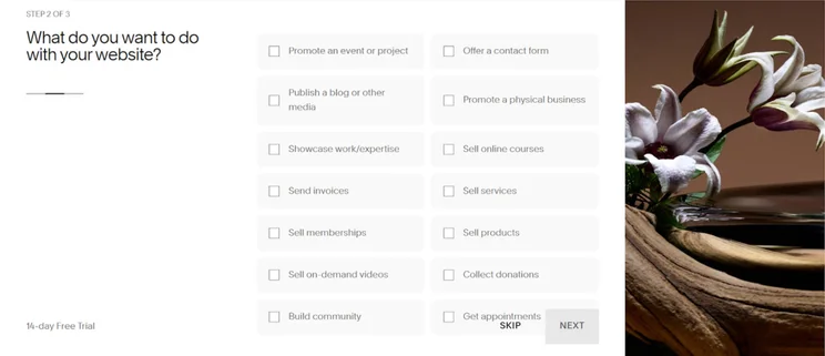 Squarespace Ai setup