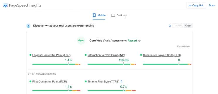 Screenshot of the free GooglePageInsights tool with key metrics to measure site speed.