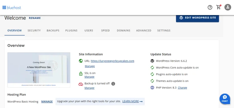 Screenshot of Bluehost's dashboard with a site's update status on show