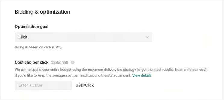 tiktok ad bidding options