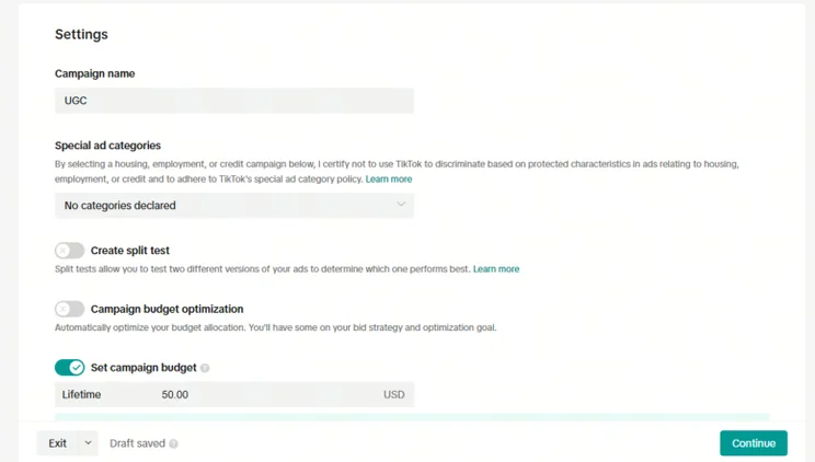 TikTok ad campaign settings