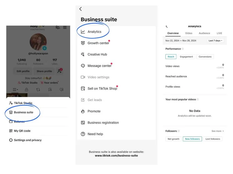 Screenshot of accessing the analytics tools from a TikTok profile