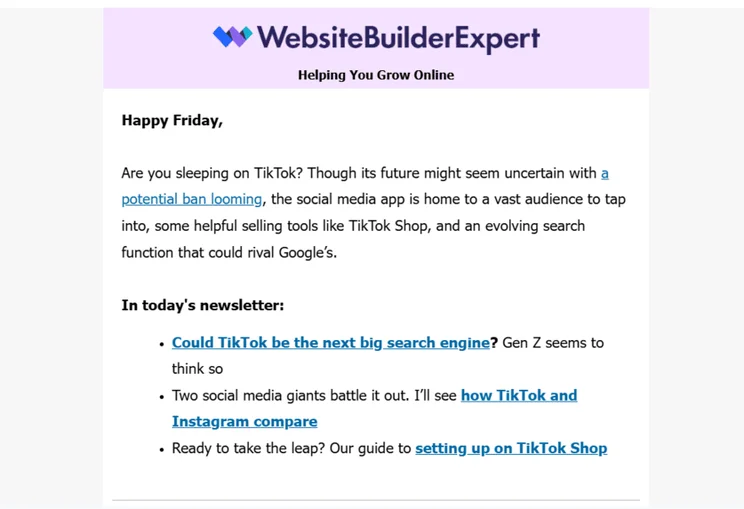 WBE newsletter example