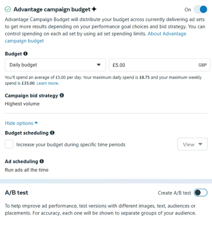 Campaign budget options