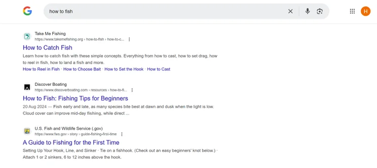 Screenshot of different meta titles for pages under the "how to fish" search results