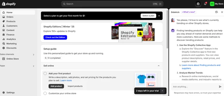 Screenshot of the Shopify Sidekick feature open in the dashboard