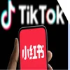 A hand holding a smartphone with the RedNote logo on screen in front of a Monitor showing the TikTok logo