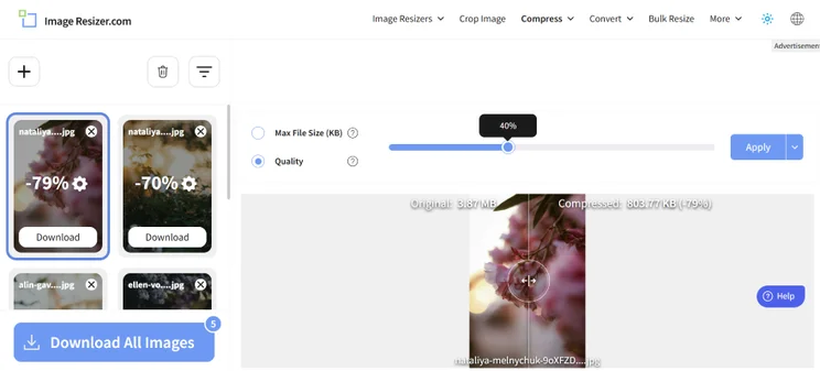 A photo browser app showcasing a compressed image of cherry blossoms