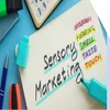 A page with "sensory marketing" on front written in highlighter